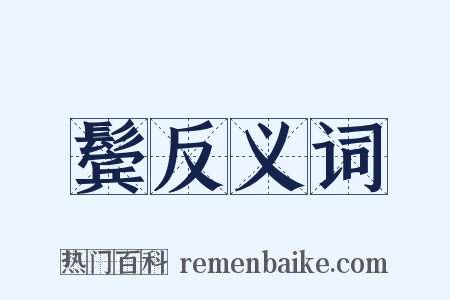 鬓反义词是什么意思的图片